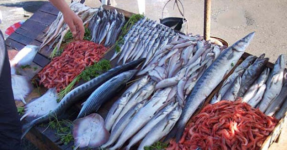 JIJEL : Le prix du poisson plus abordable