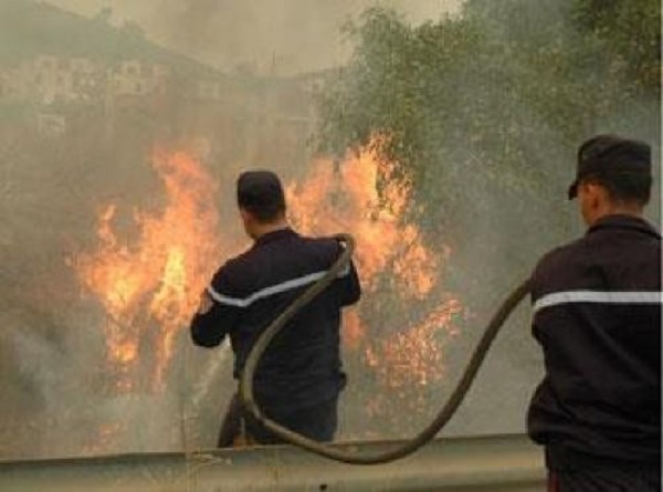 SKIKDA : Un incendie à Zerdaza circonscrit