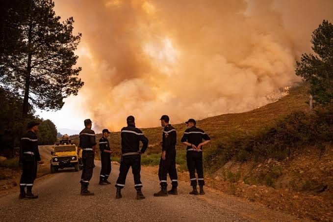 Incendies à Skikda : Le cauchemar reprend