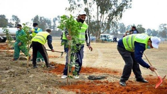 AIN BEIDA : Opération de reboisement dans plusieurs cités