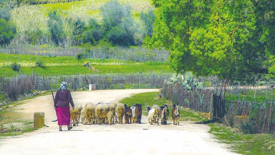 Zones enclavées à Jijel : Le wali à l’écoute des citoyens
