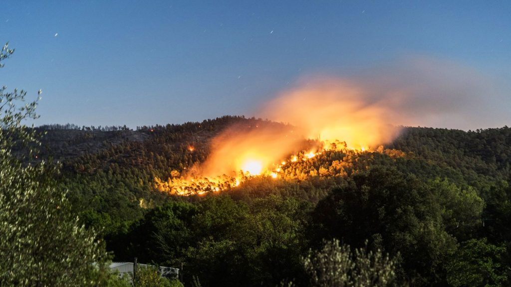 Risques accrus d’incendies au Mont Edough : L’APC interdit les activités en forêt