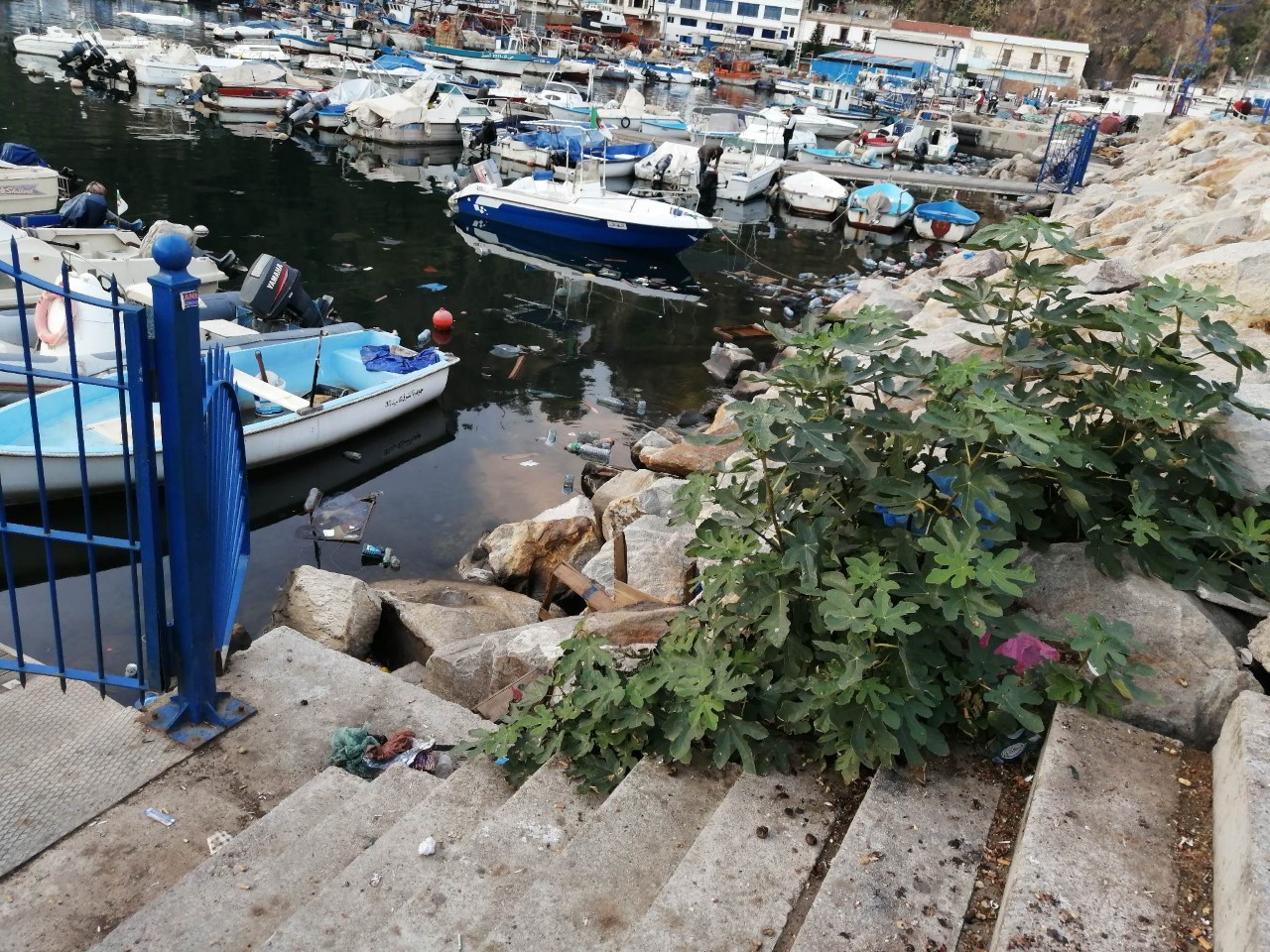Port de pêche de Stora : Une forte dégradation environnementale
