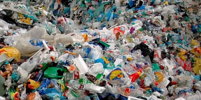 Collecte du plastique à Annaba : La concurrence déloyale des clandestins 