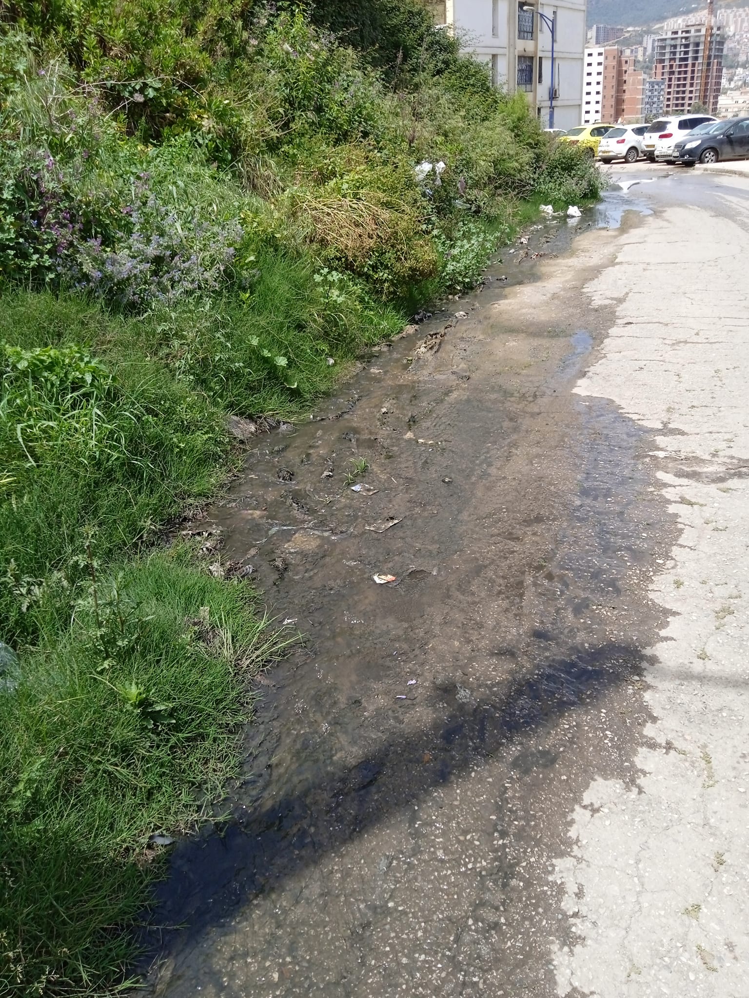 ADE Annaba : Une campagne de réparation des fuites lancée à El Sarouel 