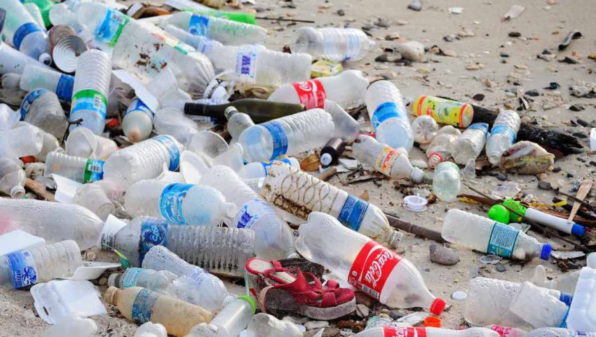 Collecte et recyclage du plastique à Annaba : Le clandestin prend de l’ampleur 