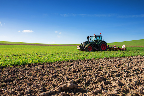 Concessions des terres agricoles non exploitées : 321 hectares récupérés à Annaba 