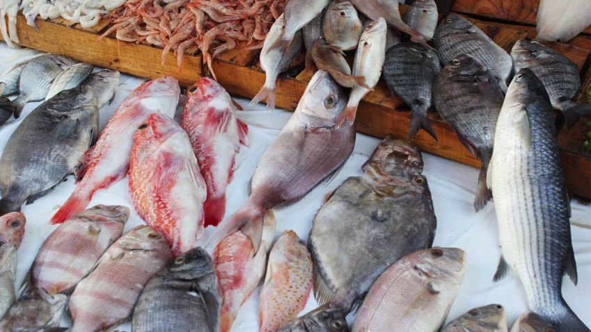 Du poisson d’élevage à petit prix : La démarche ne fait pas l’unanimité