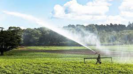 Irrigation des champs par les eaux usées à Batna : Un agriculteur arrêté à Chemora