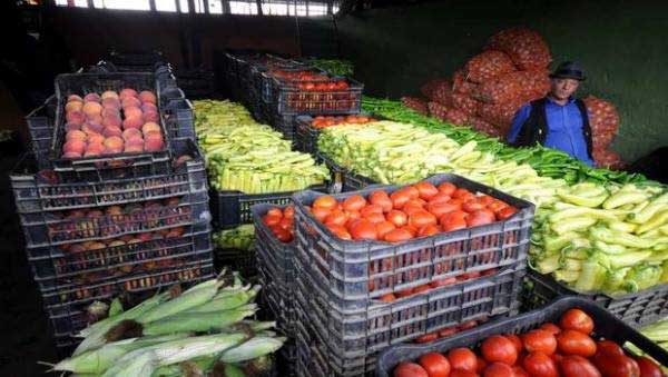 Ain-Ben-Beida : Prochaine ouverture du marché de gros