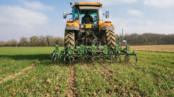 Constantine : Les agriculteurs poussent un ouf de soulagement