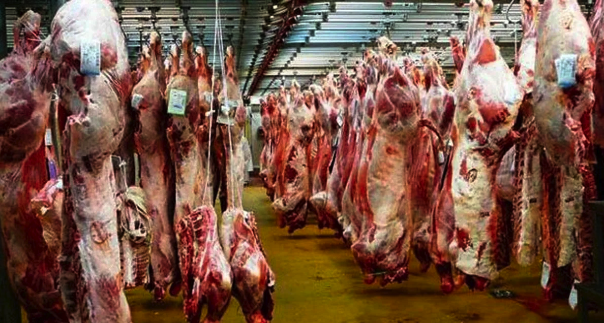 Abattoir communal d’Annaba : Les prix de la location des cases ont été maintenus