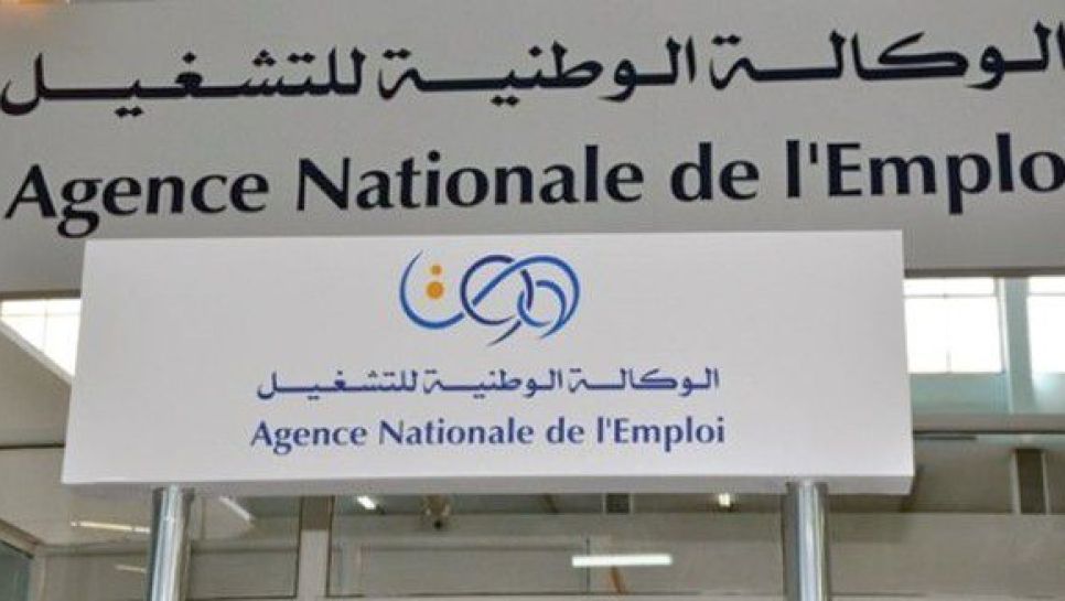 Emploi à Guelma : Intégration de 11.196 jeunes diplômés