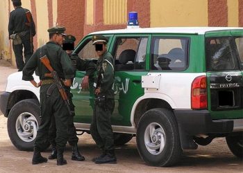 Rapt à Guelma : Une jeune fille enlevée, libérée par les gendarmes