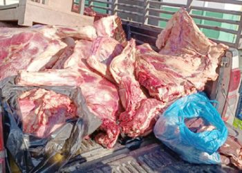 OUM EL BOUAGHI : Saisie de 276,6 kg de viandes