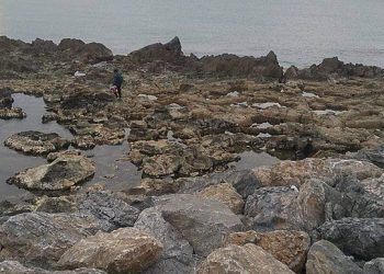 APPARITION DE DESSINS SUR DES ROCHERS À JIJEL : La direction de la culture met un terme à la polémique