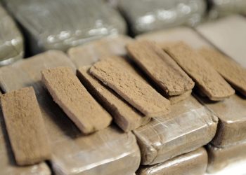 Stupéfiants :  Saisie de  650 grammes de cannabis