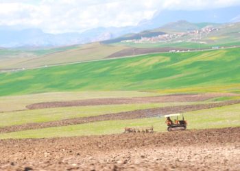 Terres agricoles : 60 concessions soumises aux exploitants 