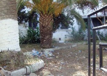 LONGTEMPS ABANDONNÉS À JIJEL : Des espaces verts réhabilités