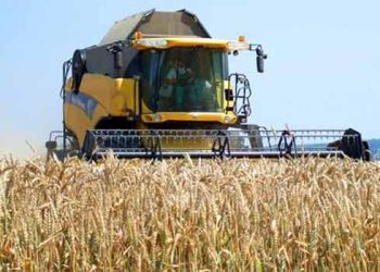 Allègement fiscal au profit des agriculteurs :  Une rencontre régionale à Guelma                          