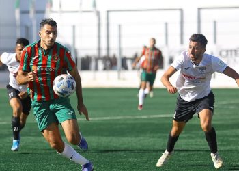 MC Alger : Les Vert et Rouge bien perturbés !