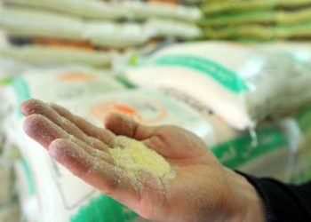 La semoule et l’huile de table se font rares : A Constantine, une pénurie en chasse une autre