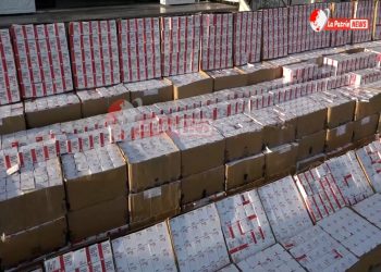 Saisie de 1,6 million de comprimés hallucinogènes : Loin du trafic, un acte de guerre