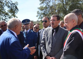 DURANT LA VISITE DU WALI À  EL MILIA : Un élu pris à partie par des citoyens