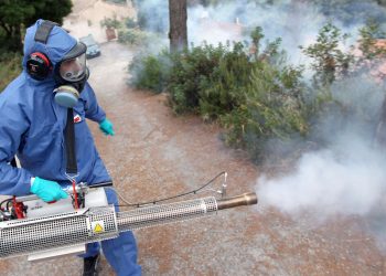 C’est une urgence à Guelma :  L’opération démoustication doit démarrer
