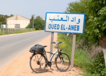 Constructions illicites à Oued Laneb : D’importantes assiettes foncières récupérées