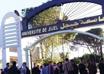 Université de Jijel : Un colloque sur le rôle des startups