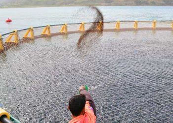 Pisciculture : Des terrains réservés à l’activité