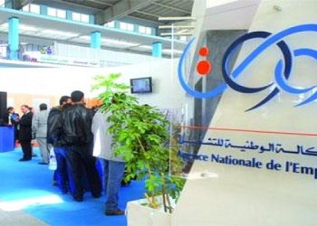 DAIP et DAIS : Intégration de 9.098 jeunes diplômés