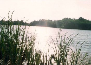 Protection de la zone humide RAMSAR de Béni Belaïd : Le manque de financement compromet les efforts