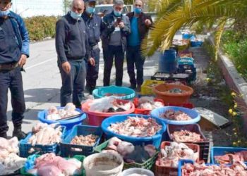 OUM EL BOUAGHI : Encore une saisie de viande avariée