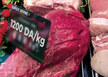 Viande d’importation : Un seul point de vente à Guelma