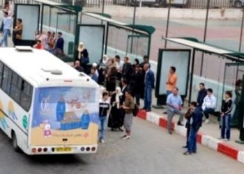 TRANSPORT A GUELMA : Ouverture de 65 nouvelles lignes