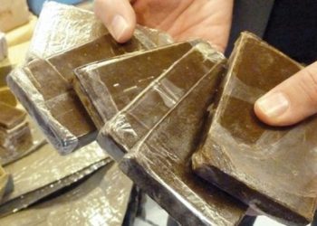 Lutte contre les stupéfiants : Saisies de cannabis et de drogues dures