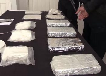 Le SCLTIS démantèle un réseau de trafic de cocaïne à Annaba : Grosse saisie et arrestation de trois individus