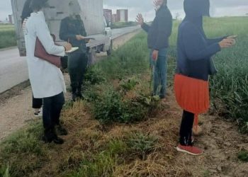 La récolte de l’oignon sous haute surveillance : Des agriculteurs suspectés de spéculation