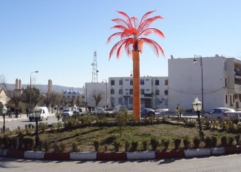 URBANISME A KHENCHELA : Une vingtaine de plans d’orientation approuvée