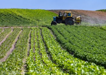 Recensement agricole : Vers des statistiques enfin précises ! 