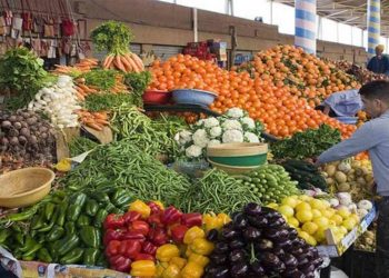 Baisse des prix des fruits : La fraise à 160 dinars le kilo