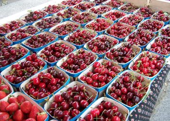 Les citoyens déplorent l’attitude des commerçants : La cerise à 2.000 et la pomme à 1.900 da