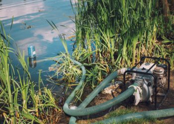 BATNA : Des champs irrigués par des eaux usées à El-Madher