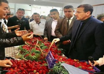 Une production de 221 350 quintaux attendue : Jijel fête sa fraise 