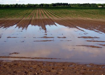 Retombées des inondations sur le secteur agricole : Une caravane entame le recensement dès aujourd’hui