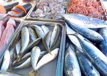 Le prix du poisson flambe suite aux intempéries : Les consommateurs appelés à être vigilants