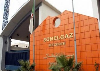 Amélioration du réseau électrique : La Sonelgaz relève le défi 