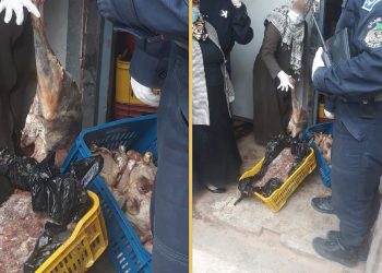 Guelma : Démantèlement d’un abattoir clandestin 